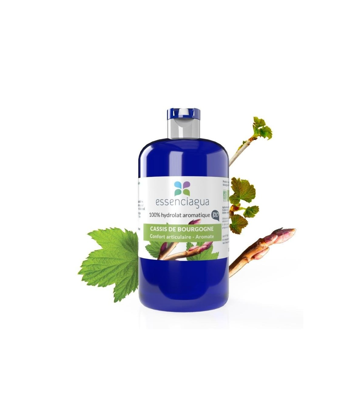 burgundia mustsõstra hüdrosool – 100% orgaaniline ja käsitööna valmistatud burgundia mustsõstra hüdrosool – 100% orgaaniline ja käsitööna valmistatud